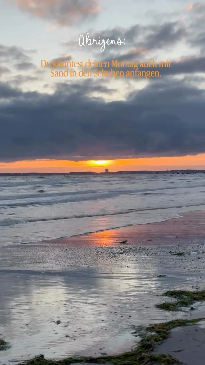Montag im Büro oder mit Sand in den Schuhen? 👀🌊
Der nächste Montag kommt sowieso. Warum also nicht mal mit Meeresrauschen statt Montagsstress? 🤍
Manchmal reichen schon ein paar Tage Ostsee, um…